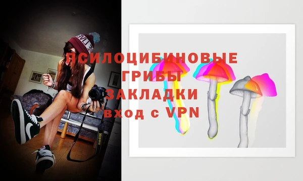 ECSTASY Медногорск
