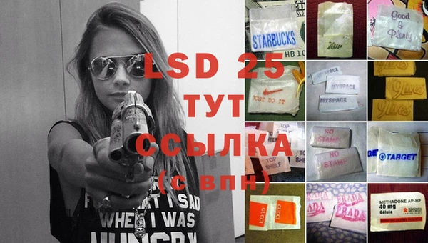 ECSTASY Михайловка