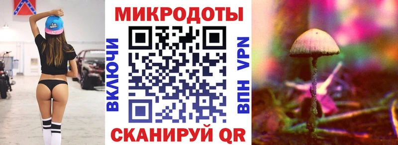 Галлюциногенные грибы мухоморы  где продают наркотики  Райчихинск 